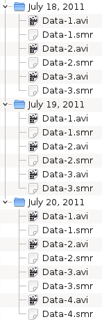 Initial file layout